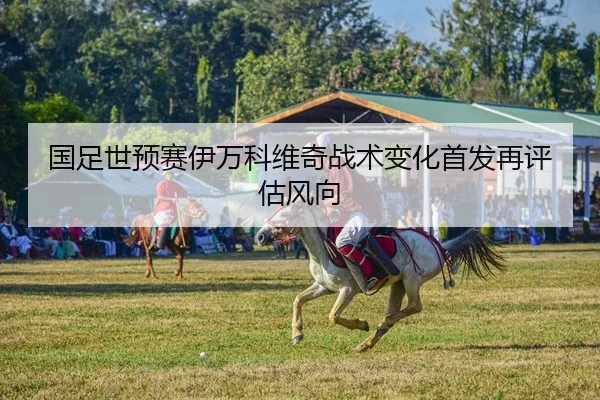 guo-zu-shi-yu-sai-yi-wan-ke-wei-qi-zhan-shu-bian-hua-shou-fa-zai-ping-gu-feng-xiang-2-334.jpg
